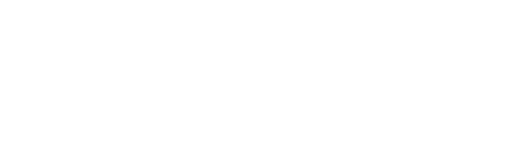 Tierschutzverein Heilbronn und Umgebung e.V. Wasserschildkröte 681