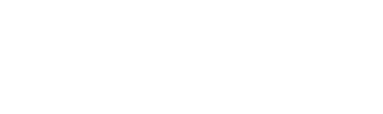 Tierschutzverein Heilbronn und Umgebung e.V. Ramsay